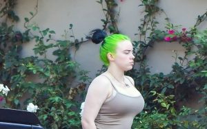 Billie Eilish measurements, net worth, nickname, height, weight and bra