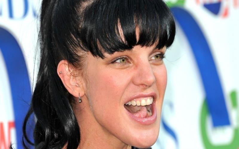 Pauley Perrette