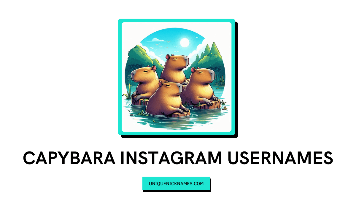 Capybara Instagram Usernames