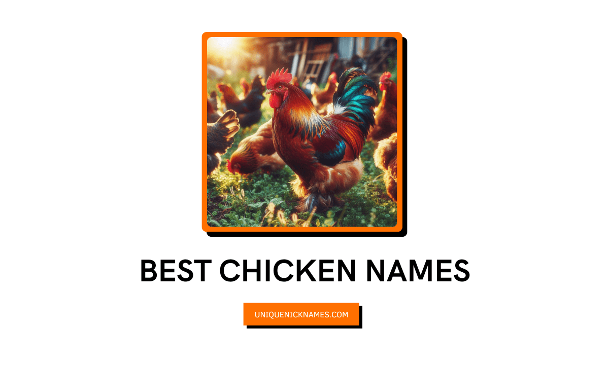 Best Names for Chickens