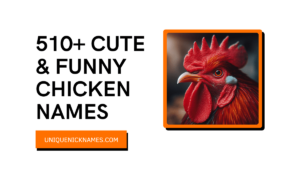 Chicken Names