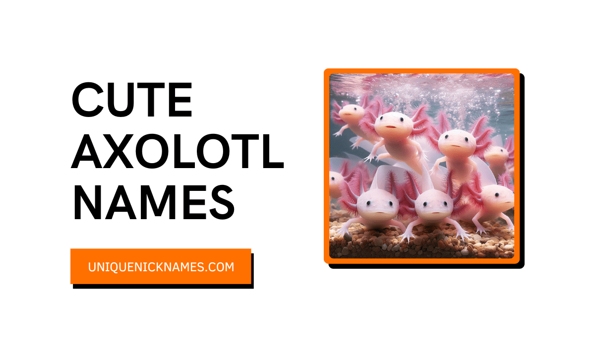 Axolotl Names