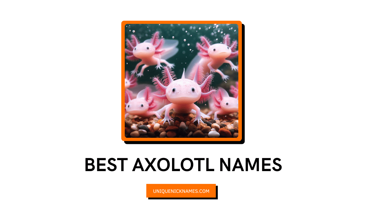 Best Axolotl Names