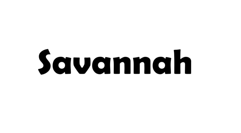 Nicknames for Savannah