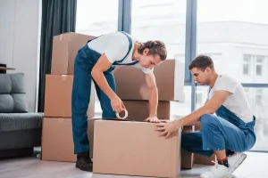 Professional Movers