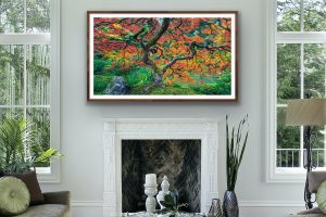 TV frames