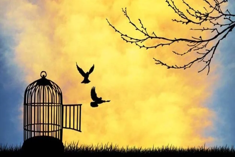 Like Freedom.