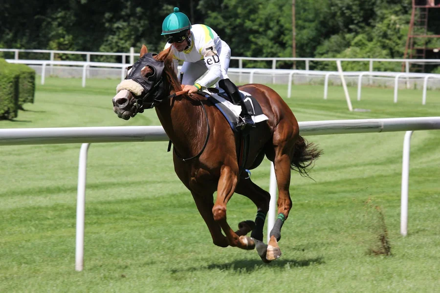 Racing Jockeys Nicknames