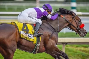 Horse Racing Nicknames