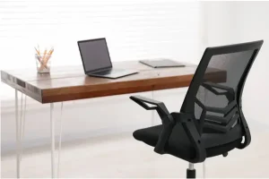 Ergonomic Chair