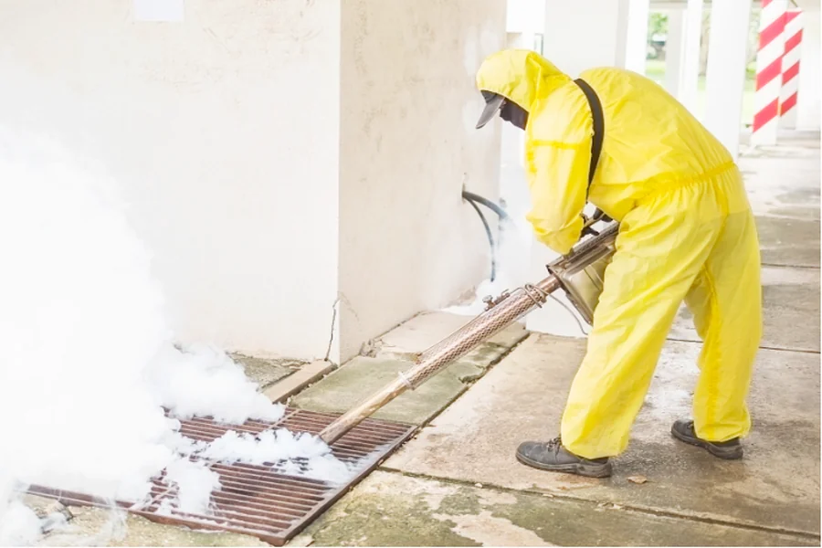 Exterminator Services